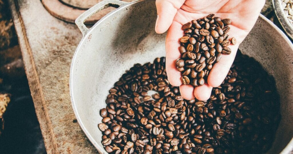 Coffee Overview - Types of Coffee Beans