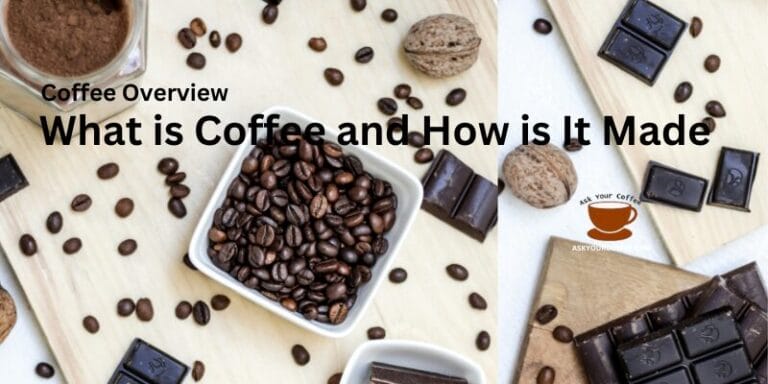 Coffee Overview – What is Coffee and How is It Made Best Beginner’s Guide