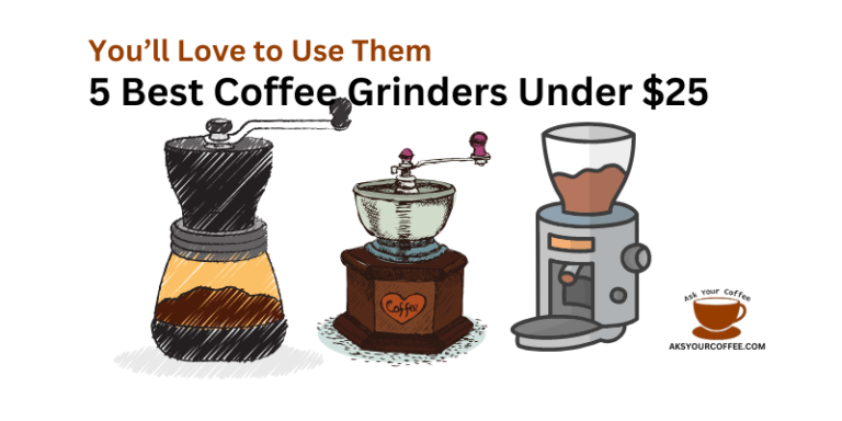 5 Best Coffee Grinders Under $25 – You’ll Love to Use Them