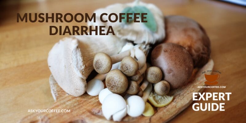 Does Mushroom Coffee Cause Diarrhea A Guide