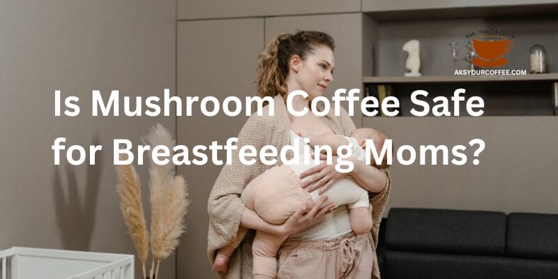 Is Mushroom Coffee Safe During Pregnancy Best Guide for Moms