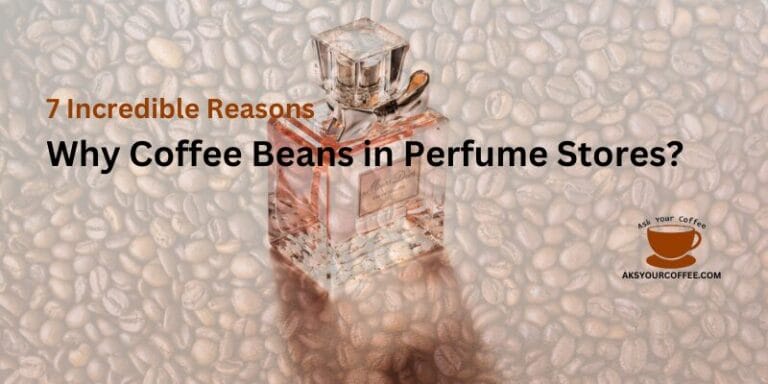 Why Coffee Beans in Perfume Stores? 7 Incredible Reasons